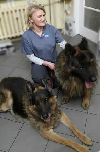 MIVET Przychodnia weterynaryjna